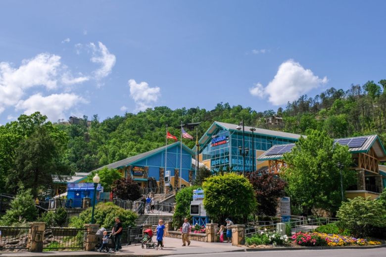 12 Things to Do at Ripley's Aquarium of the Smokies
